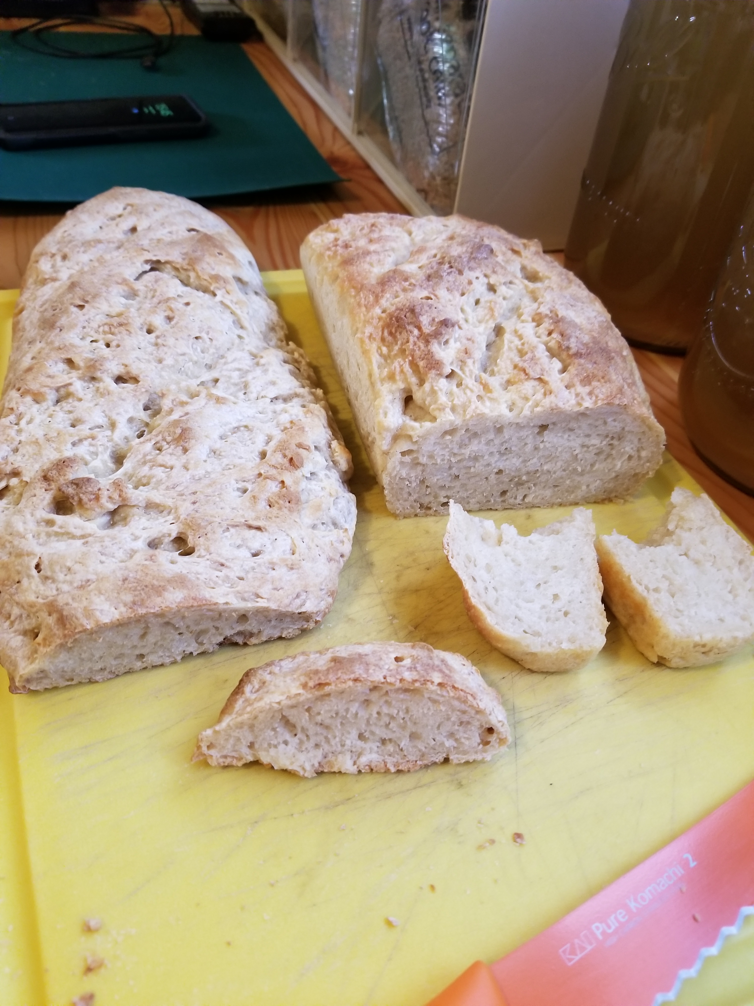 Sourdough Starter and Bread
