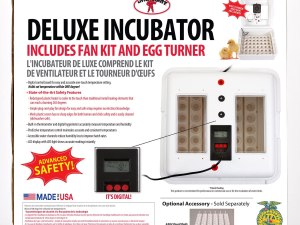 Little Giant Digital Circulated Air Incubator with Automatic Turner (41 Eggs)